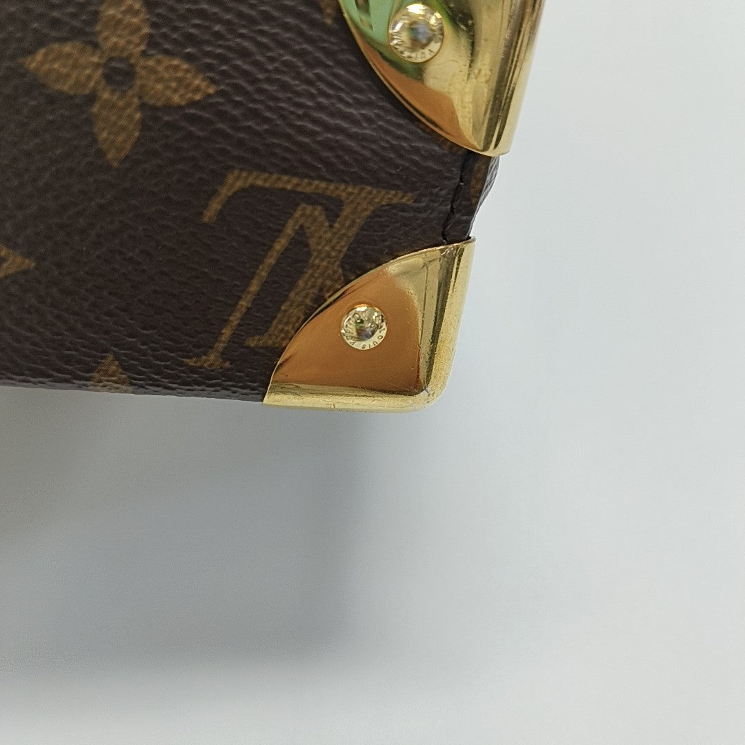 CAMERA BOX Monogram Coated Canvas Brown
