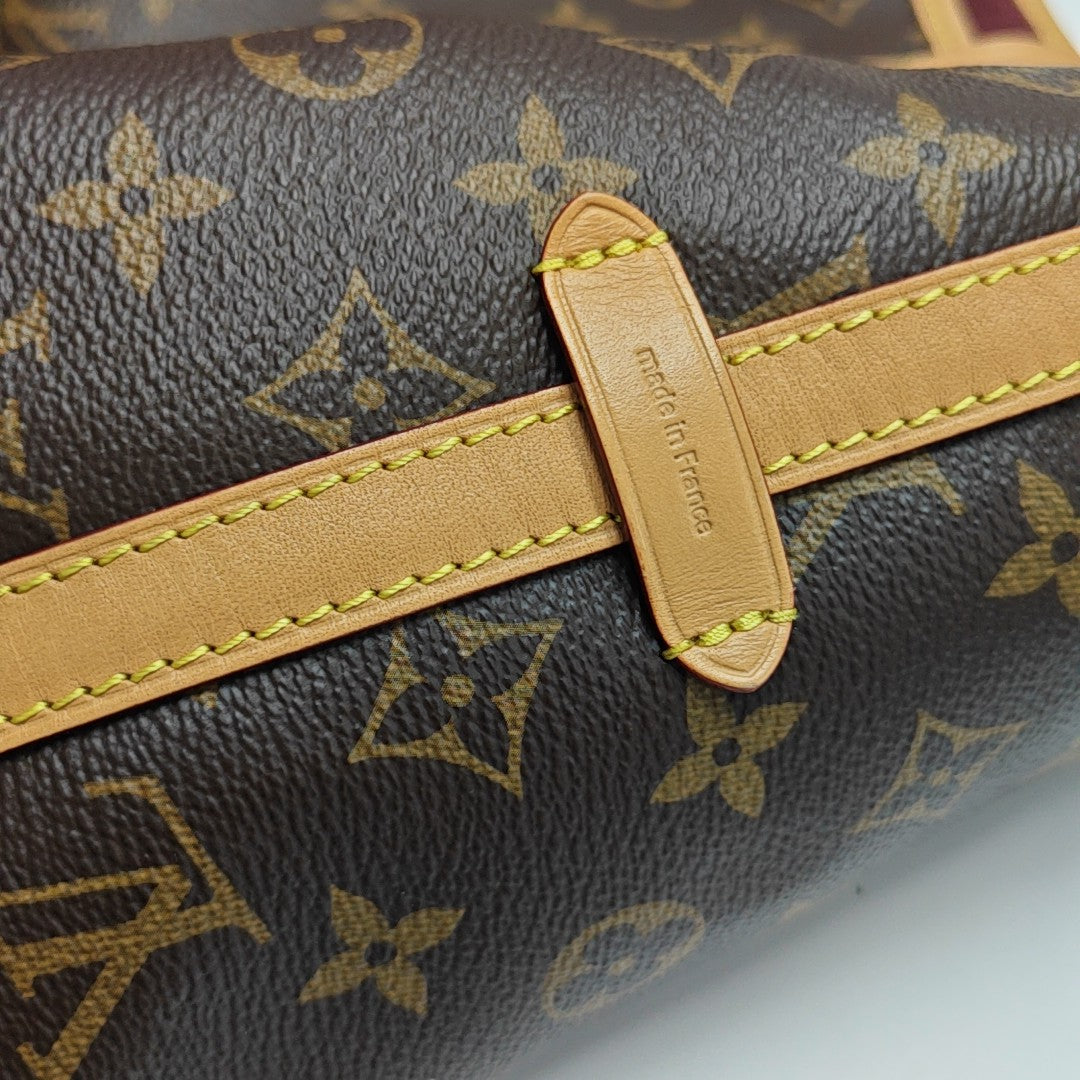 CARRYALL MM Monogram Coated Canvas Brown