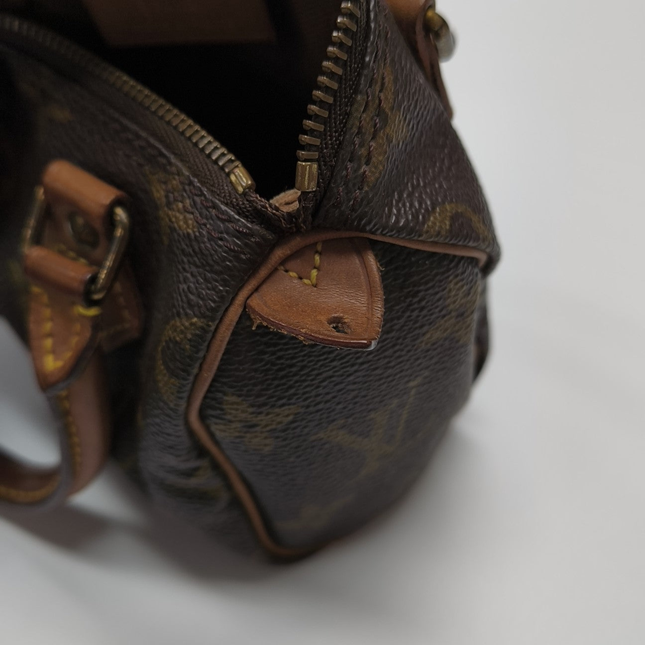 SPEEDY Nano Monogram Coated Canvas Brown
