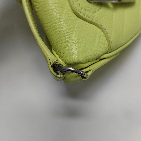 Souvenirs Mini Calfskin Green