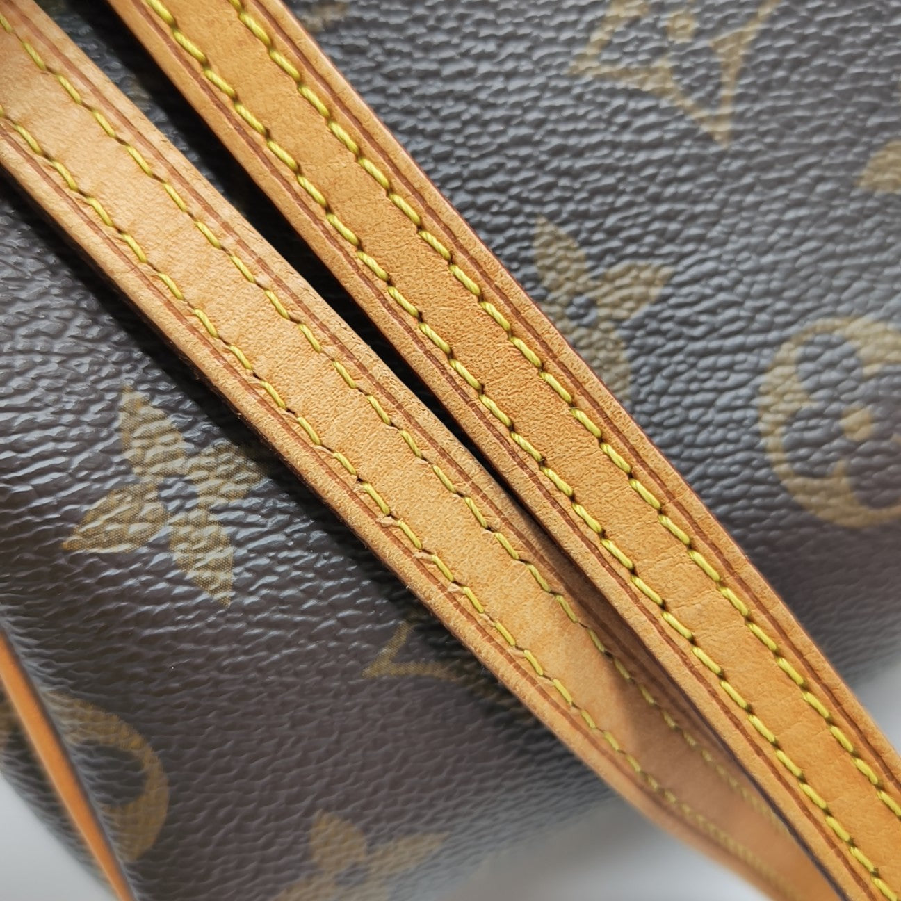 SPEEDY Nano Monogram Coated Canvas Brown