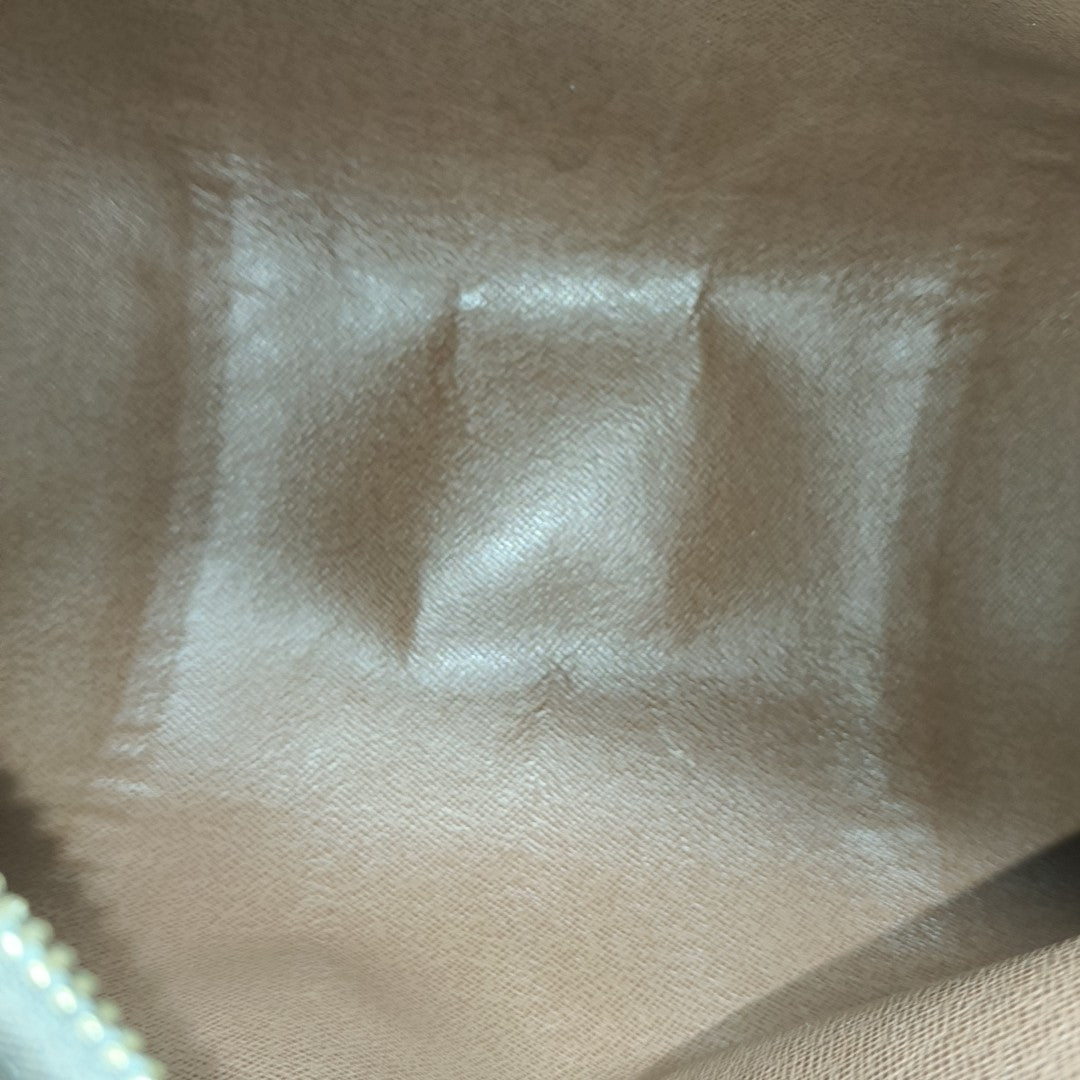 PAPILLON MM Monogram Coated Canvas Brown