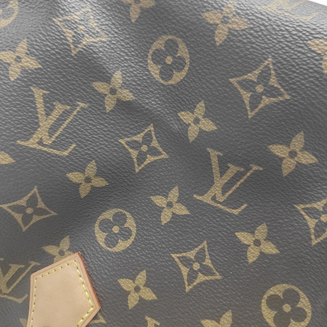 SPEEDY 25 Monogram Coated Canvas Brown