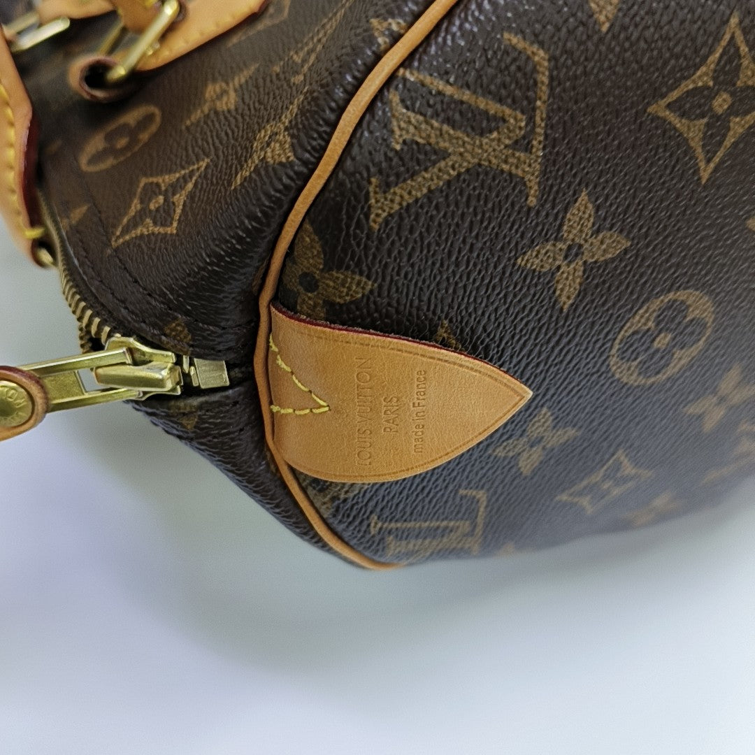 SPEEDY 30 Monogram Coated Canvas Brown