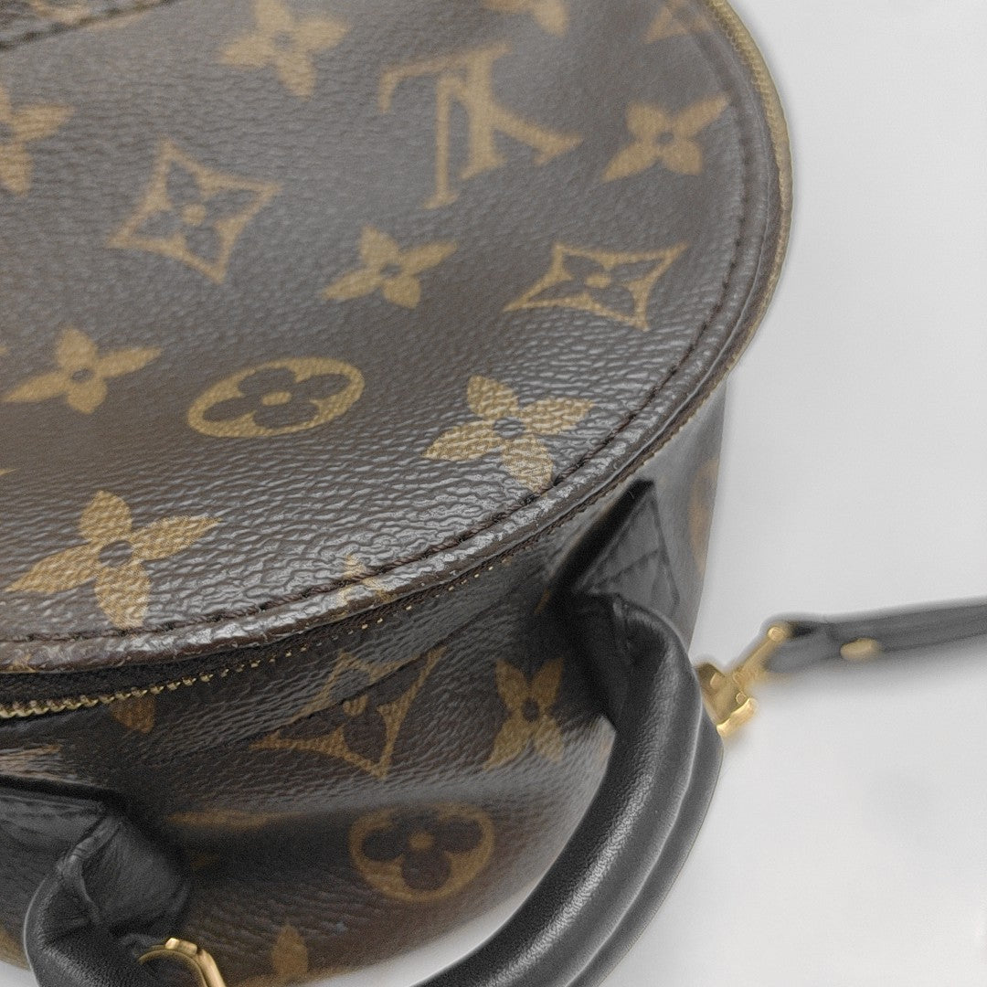 PALM SPRINGS Mini Monogram Coated Canvas Brown