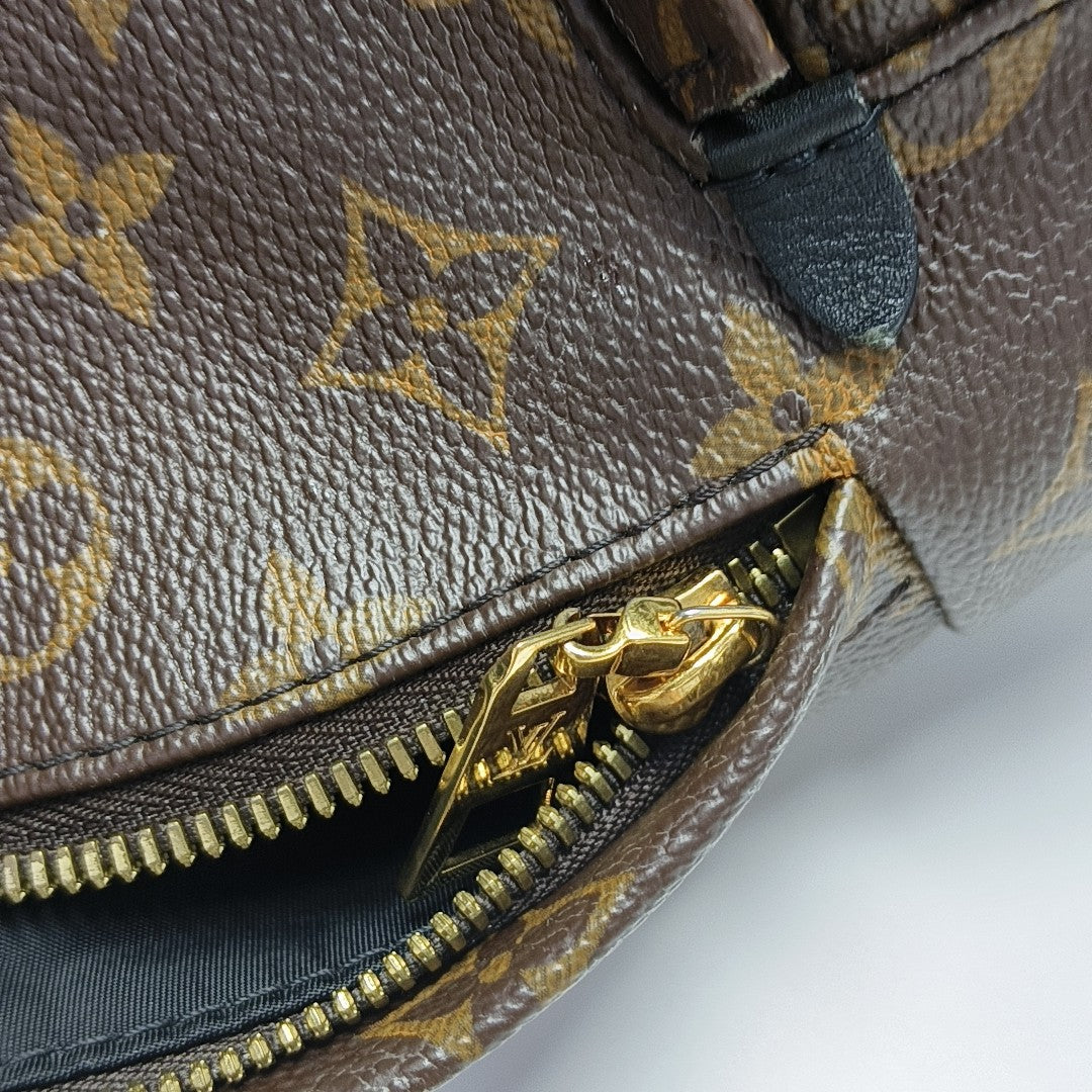 PALM SPRINGS PM Monogram Coated Canvas Brown
