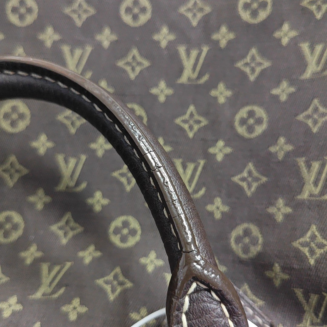 SPEEDY 30 Monogram Canvas Brown