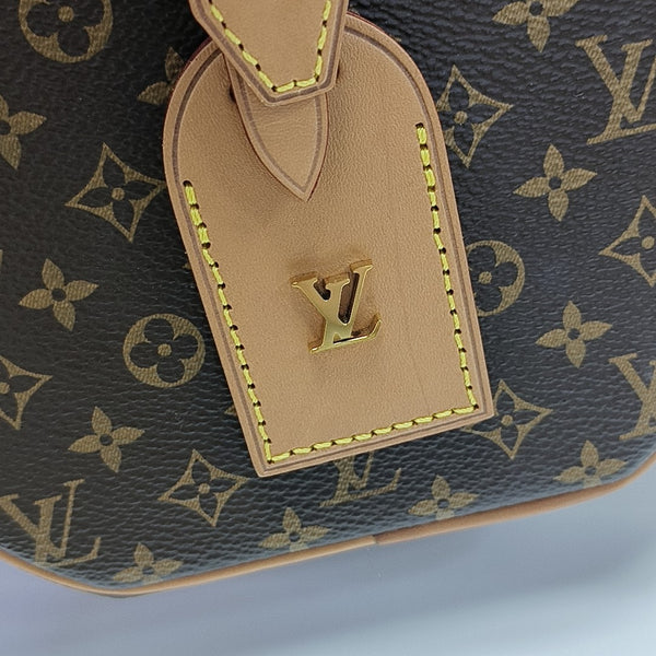 BOITE CHAPEAU PM Monogram Coated Canvas Brown