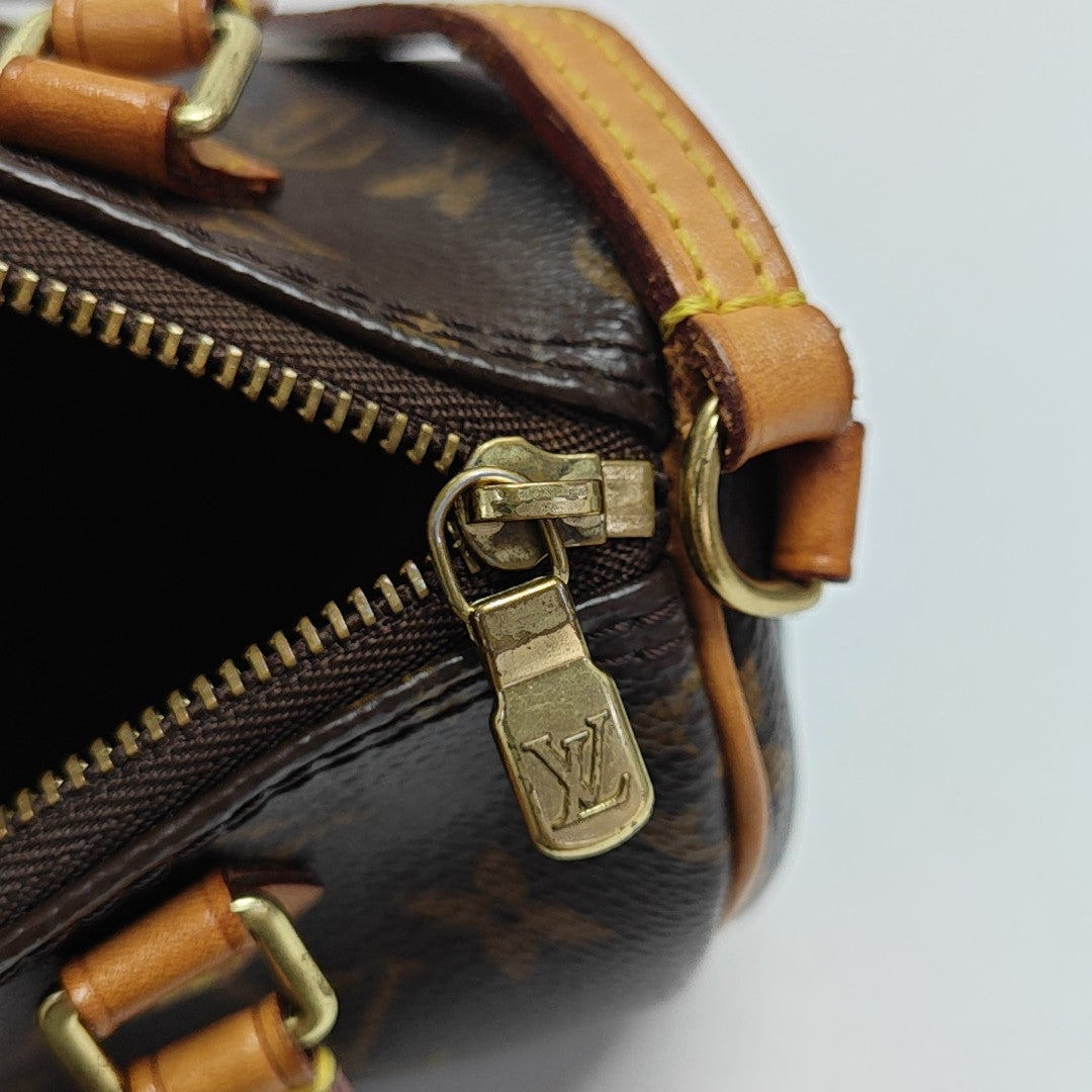 SPEEDY Nano Monogram Coated Canvas Brown