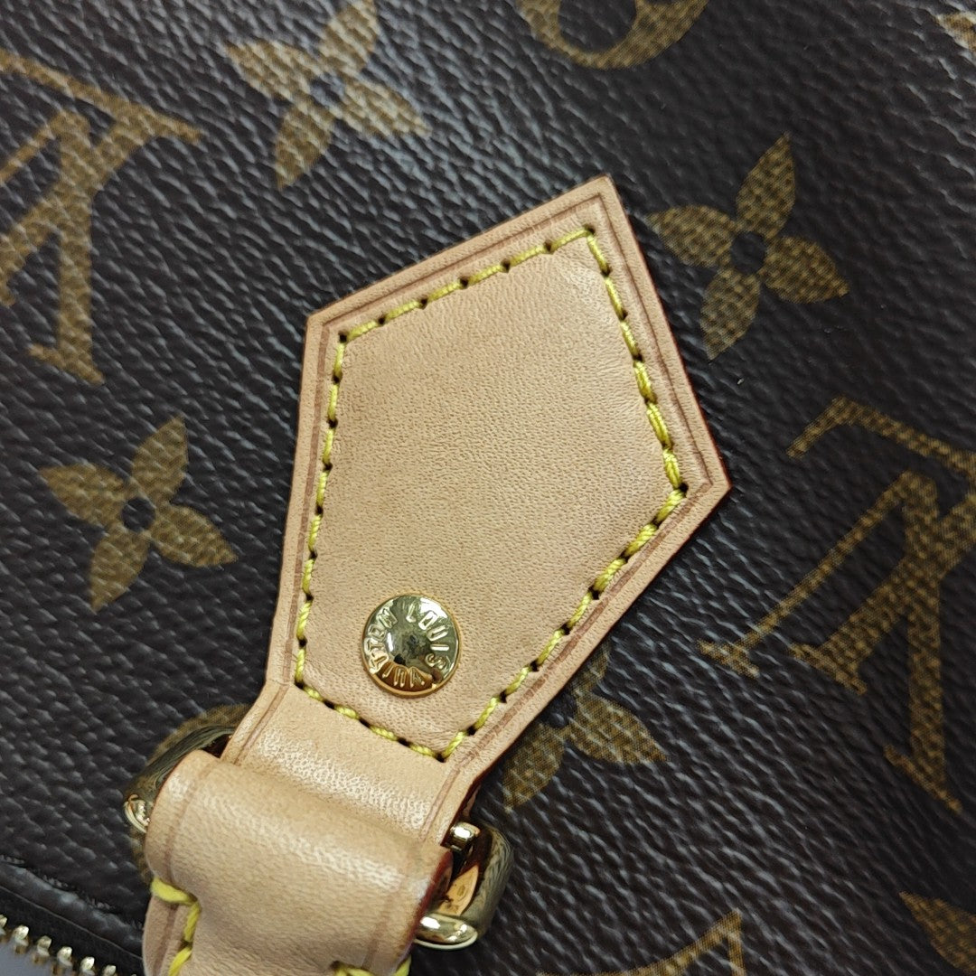 SPEEDY 20 Monogram Coated Canvas Brown