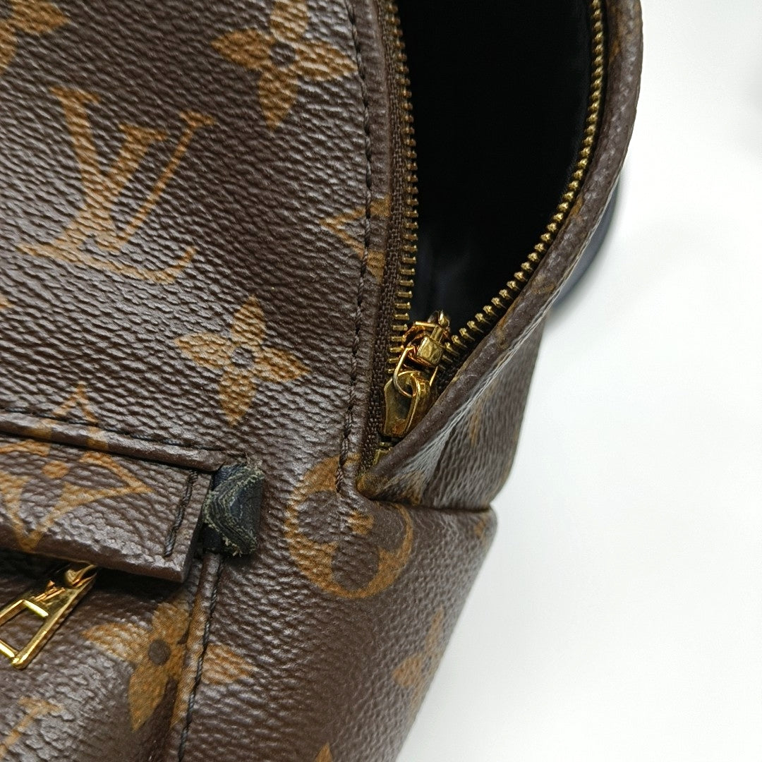 PALM SPRINGS Mini Monogram Coated Canvas Brown