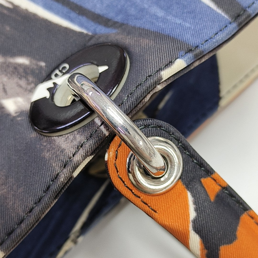 Lady Dior Large Canvas Multicolor