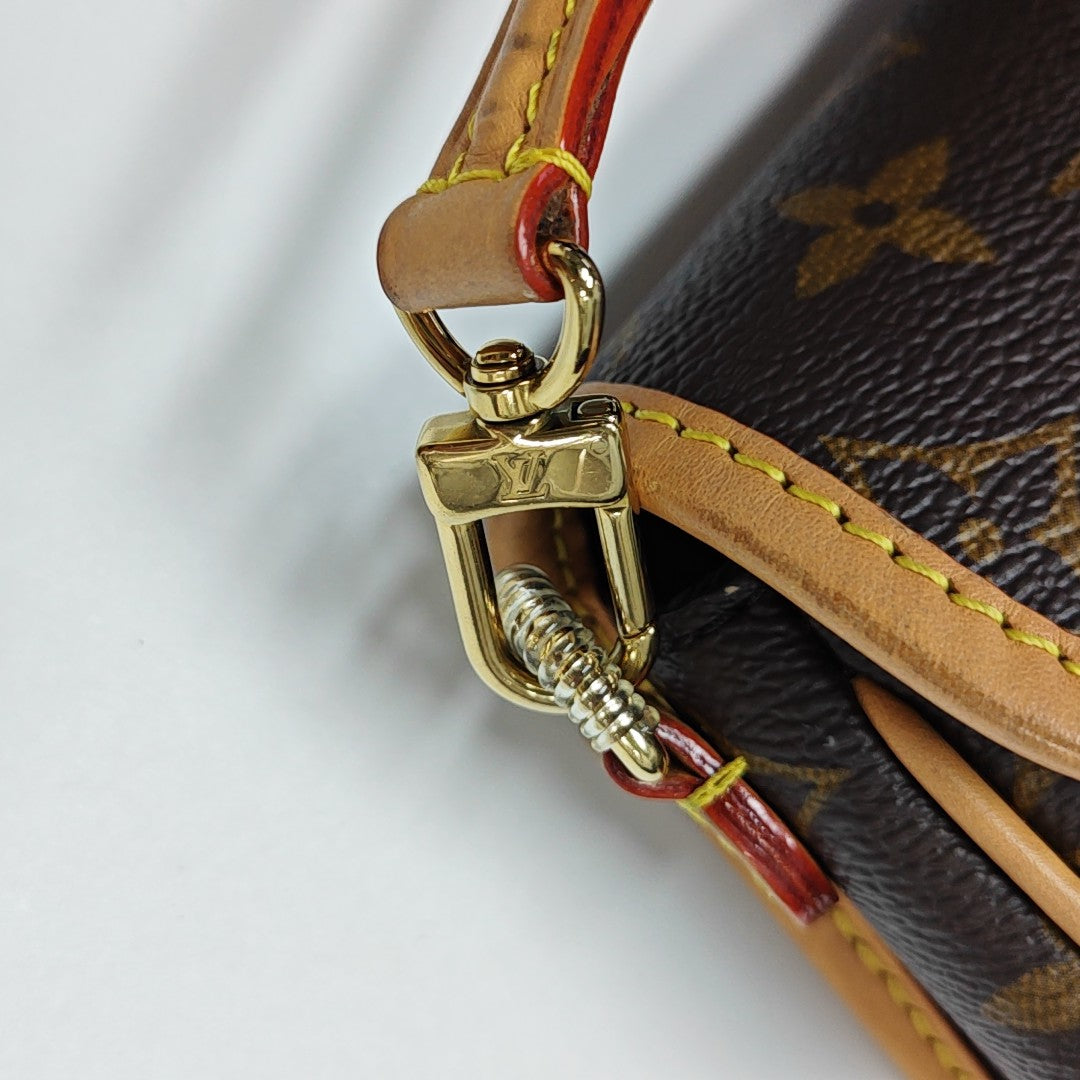 DIANE Nano Monogram Coated Canvas Brown