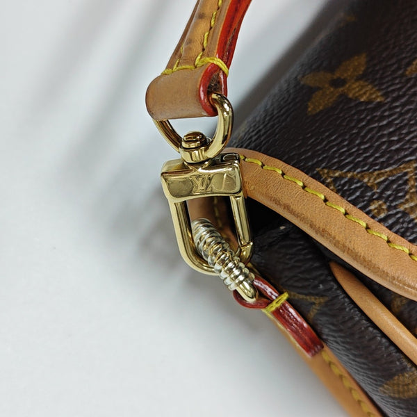 DIANE Nano Monogram Coated Canvas Brown