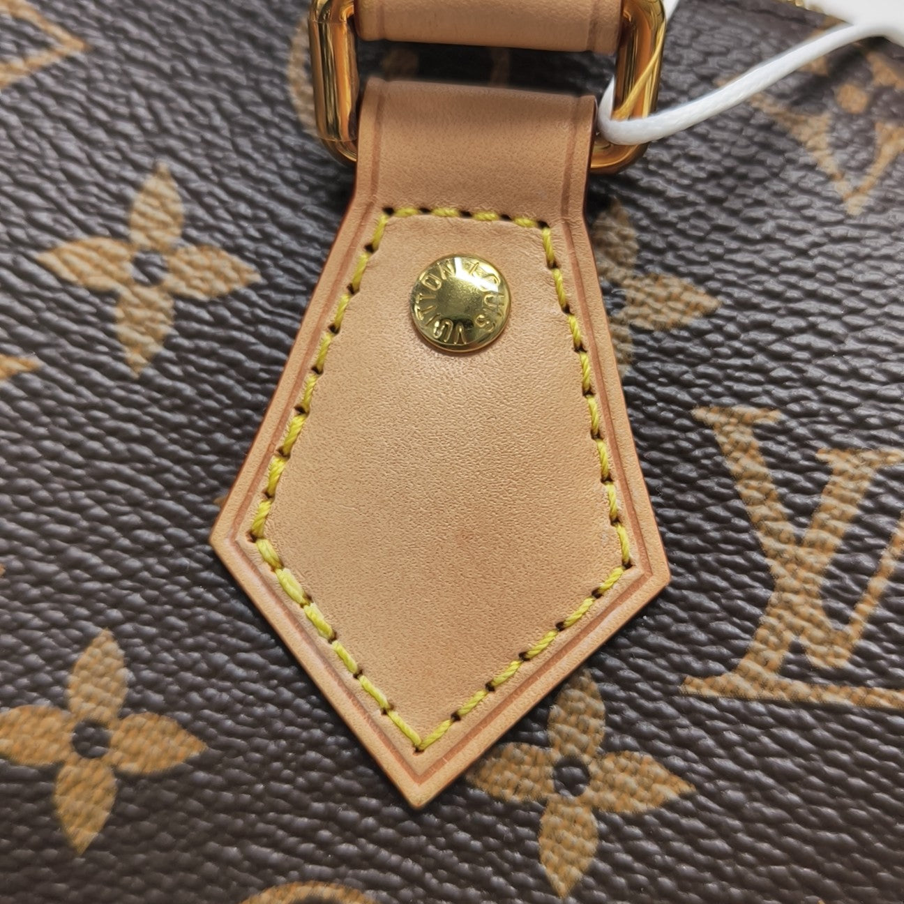 SPEEDY 20 Monogram Coated Canvas Brown