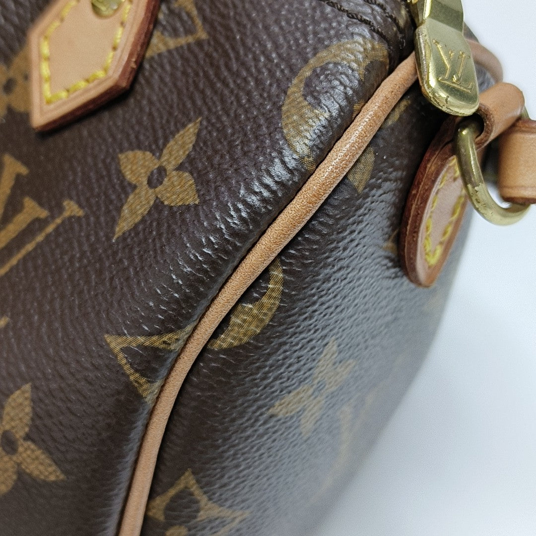 SPEEDY Nano Monogram Coated Canvas Brown
