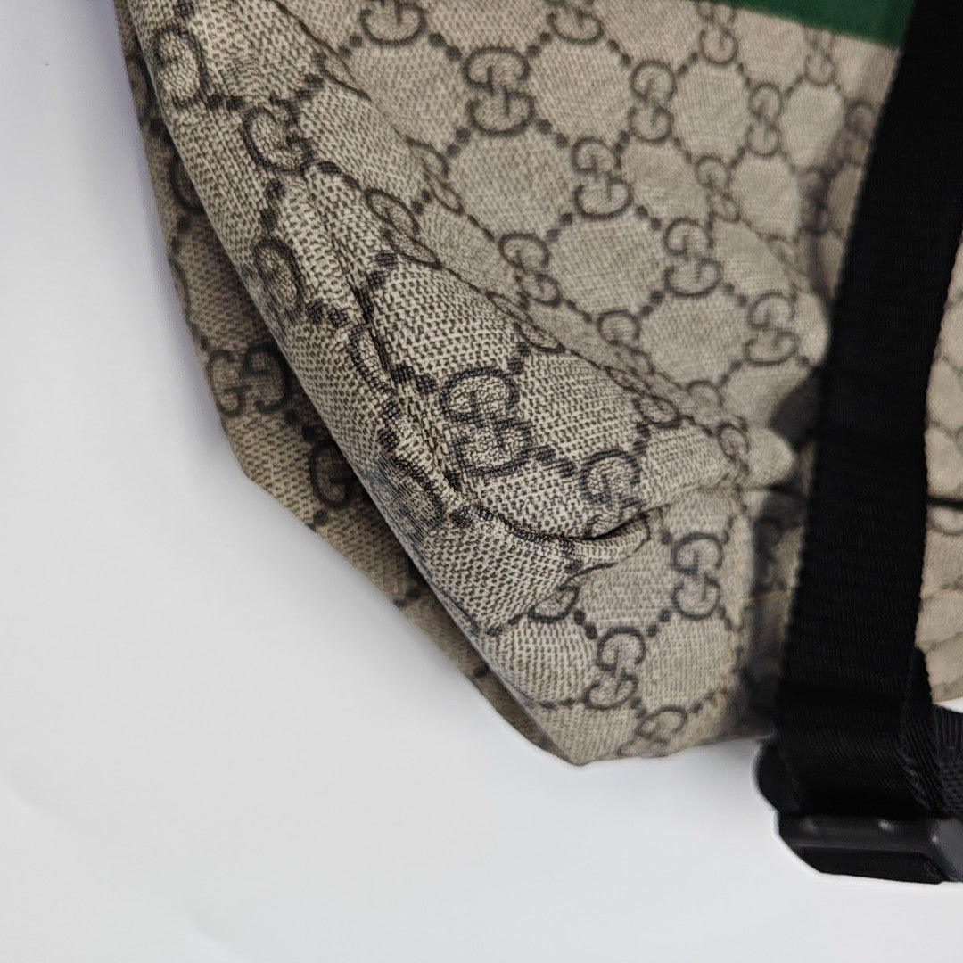 Monogram Coated Canvas Backpack Brown