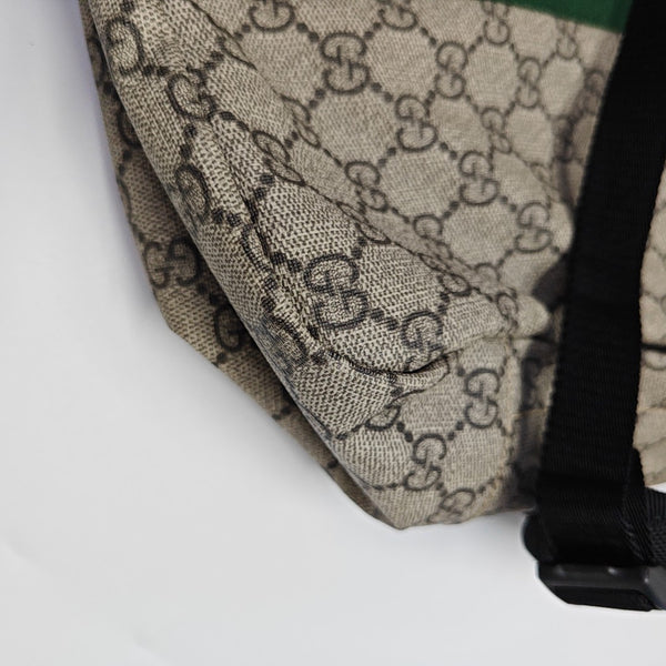 Monogram Coated Canvas Backpack Brown
