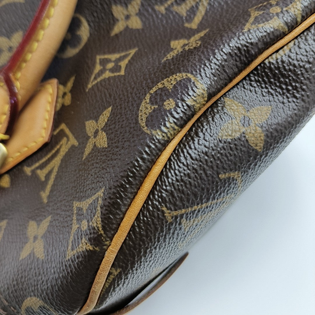 SPEEDY 25 Monogram Coated Canvas Brown