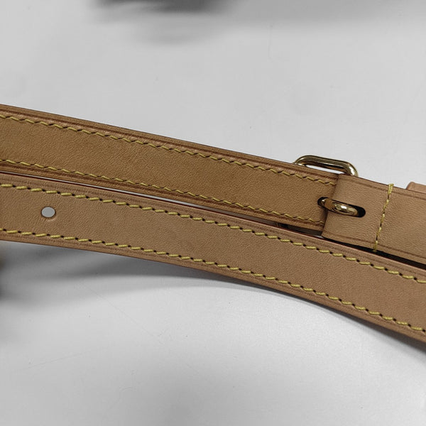 SPEEDY 25 Monogram Coated Canvas Brown