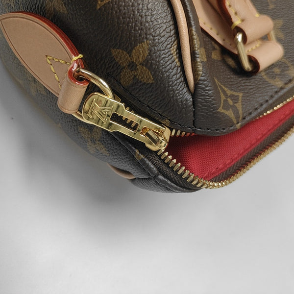 SPEEDY 20 Monogram Coated Canvas Brown