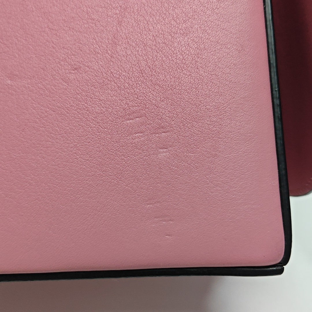 Postal Small Calfskin Pink