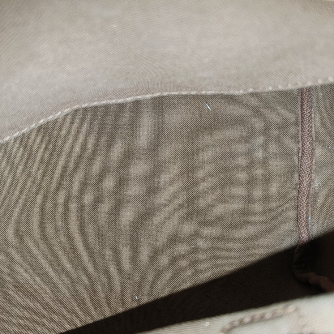 SPEEDY 25 Monogram Coated Canvas Brown