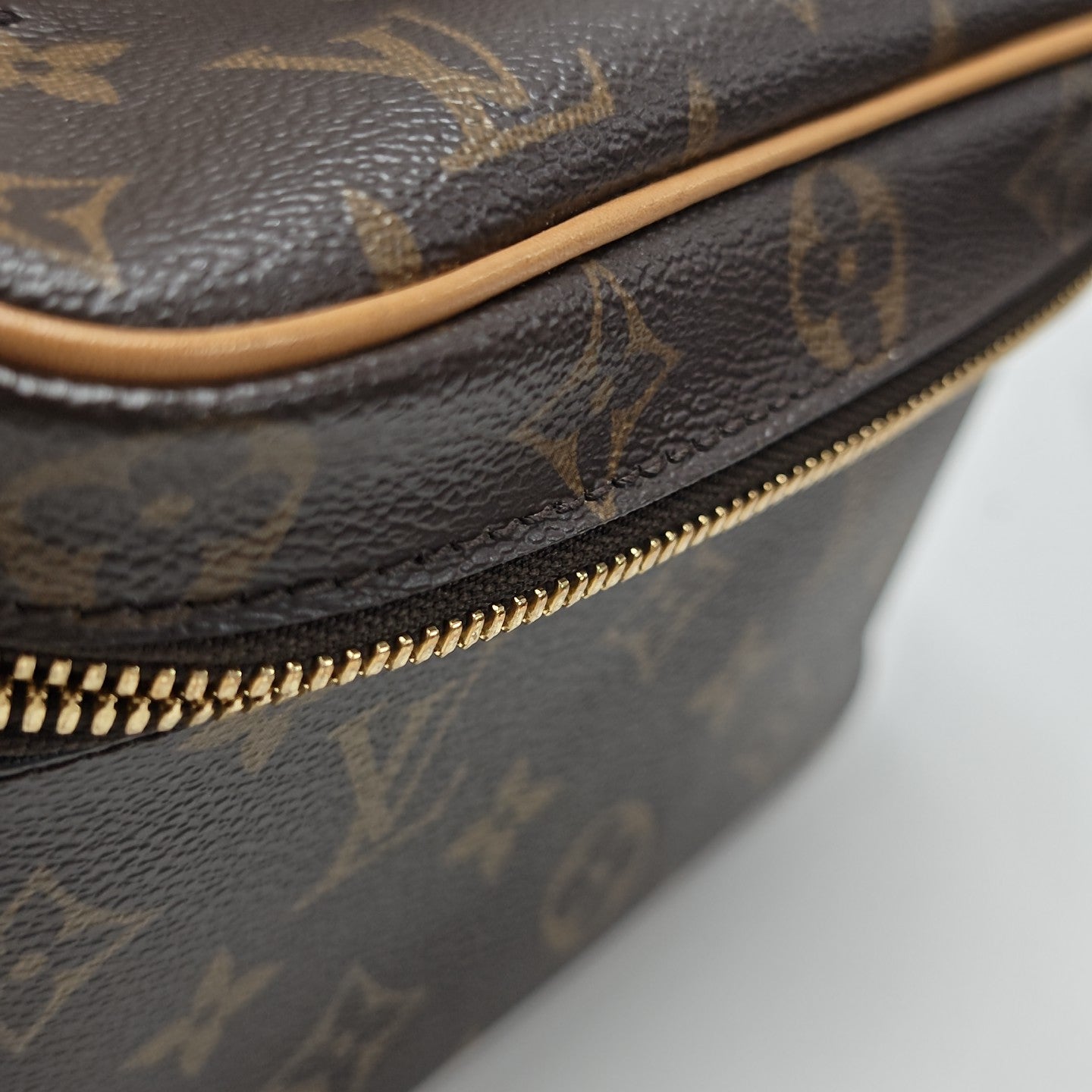 NICE Mini Monogram Coated Canvas Brown