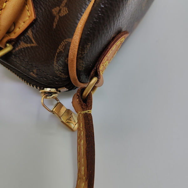 SPEEDY Nano Monogram Coated Canvas Brown