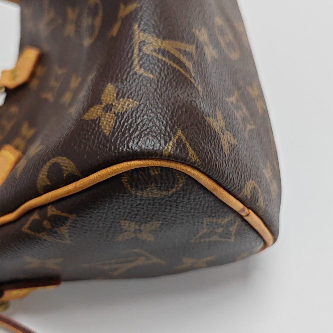 SPEEDY Nano Monogram Coated Canvas Brown