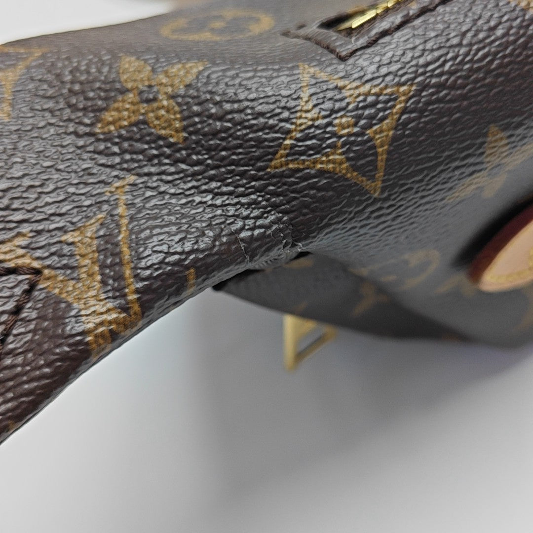 BUMBAG Monogram Coated Canvas Brown