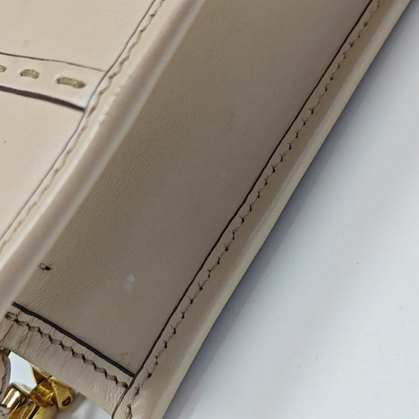 Sunshine Mini Calfskin Pink