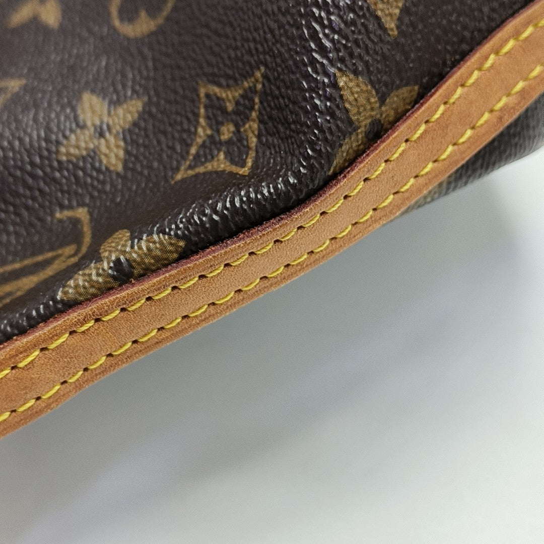 NÉONOÉ Nano Monogram Coated Canvas Brown