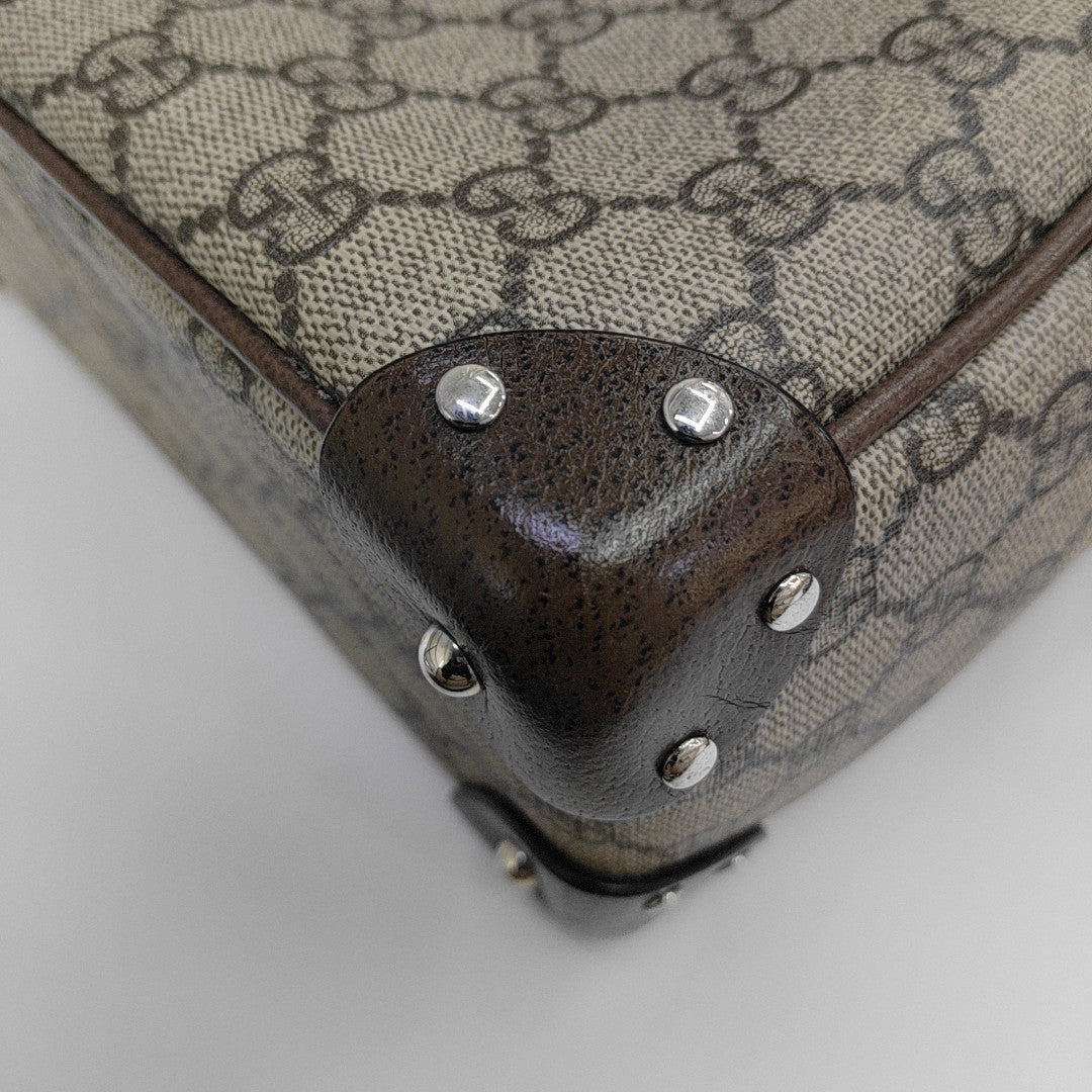Trunk Monogram Coated Canvas Brown