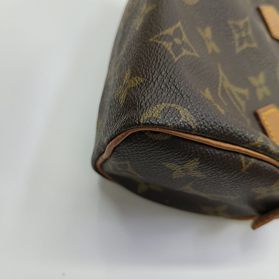 SPEEDY Nano Monogram Coated Canvas Brown