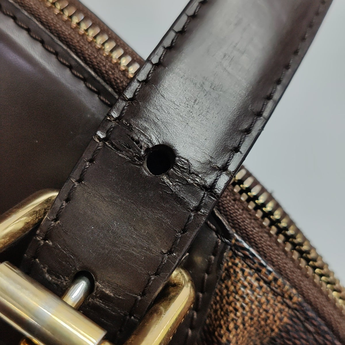 VERONA MM Damier Ebene Coated Canvas Brown