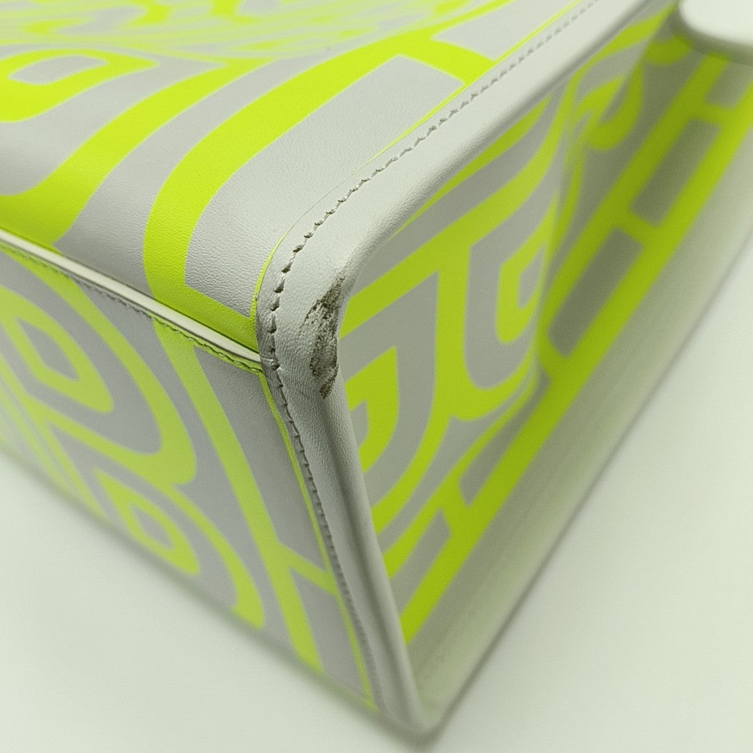 Sunshine Medium Calfskin Multicolor