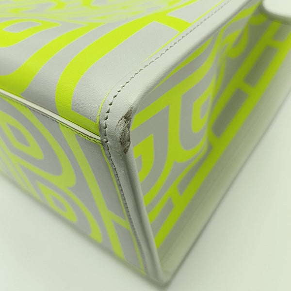 Sunshine Medium Calfskin Multicolor