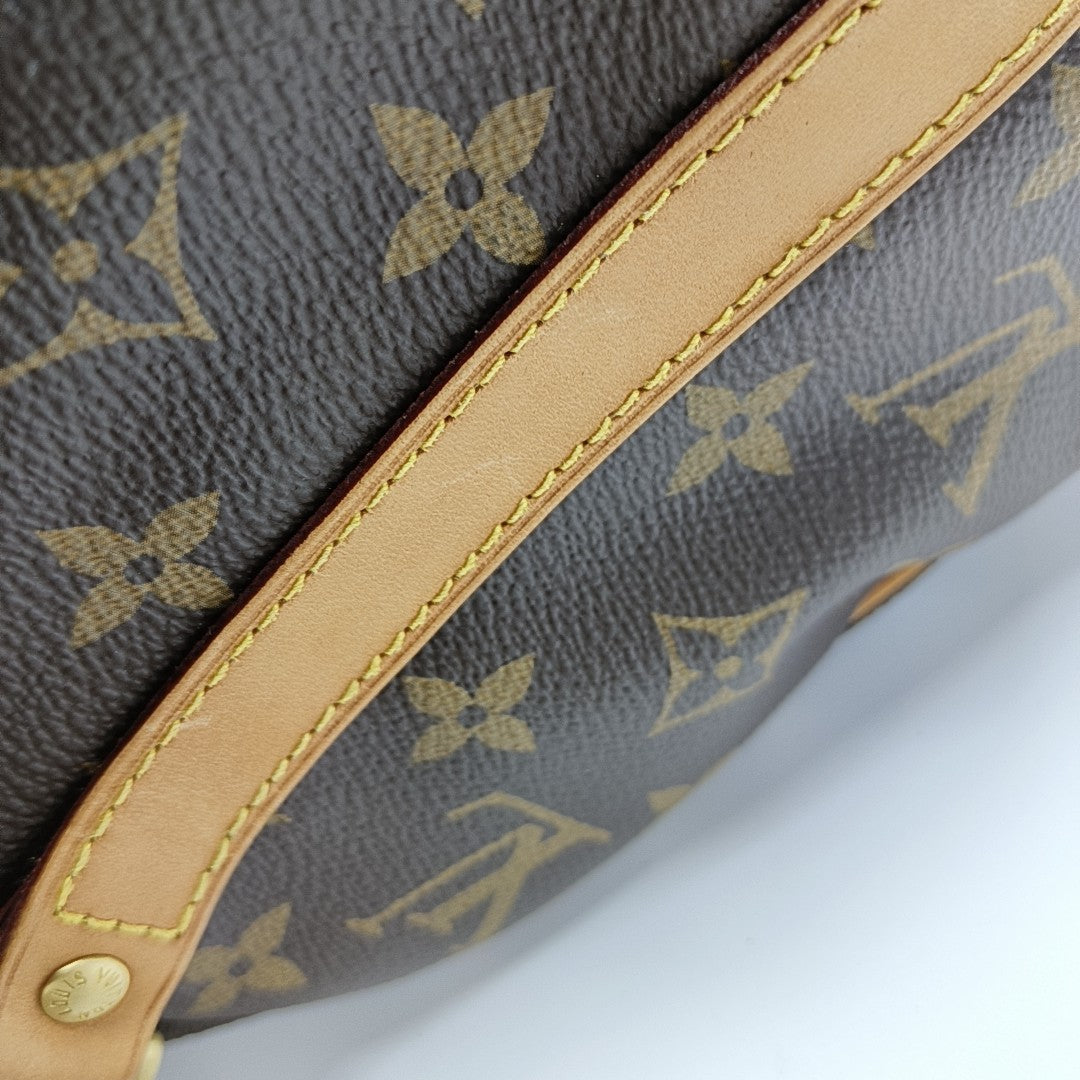 SPEEDY 25 Monogram Coated Canvas Brown