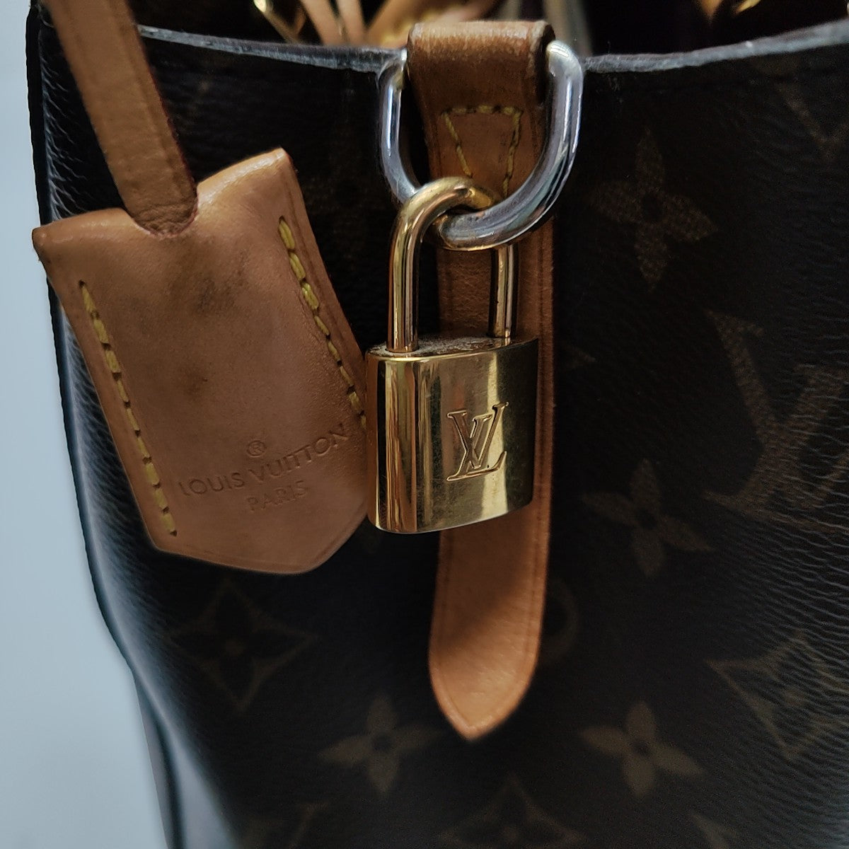 MONTAIGNE MM Monogram Coated Canvas Brown