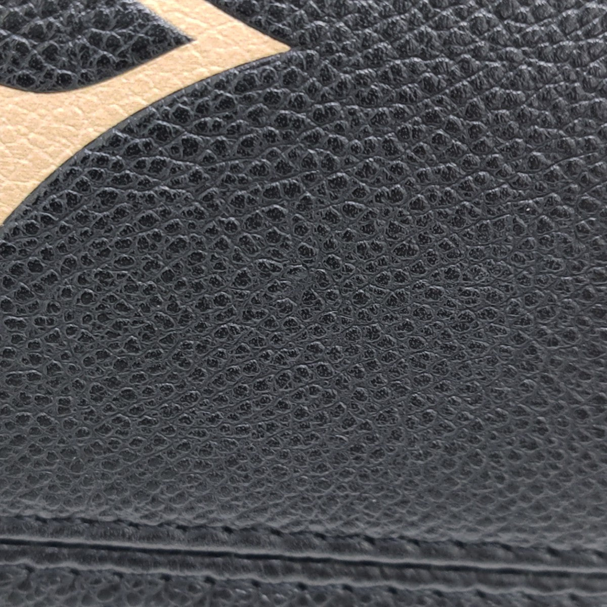 ONTHEGO PM Calfskin Black