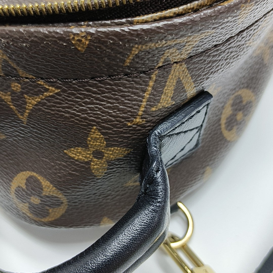 PALM SPRINGS Mini Monogram Coated Canvas Brown