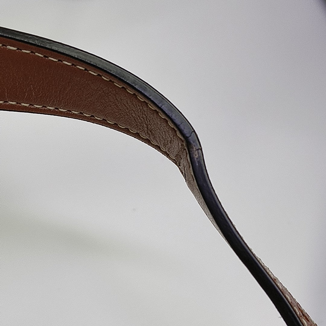 TRIOMPHE CANVAS Medium Coated Canvas Brown