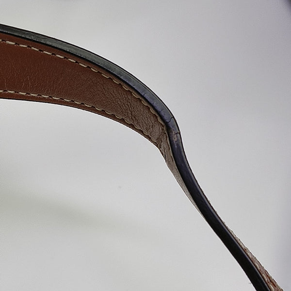 TRIOMPHE CANVAS Medium Coated Canvas Brown