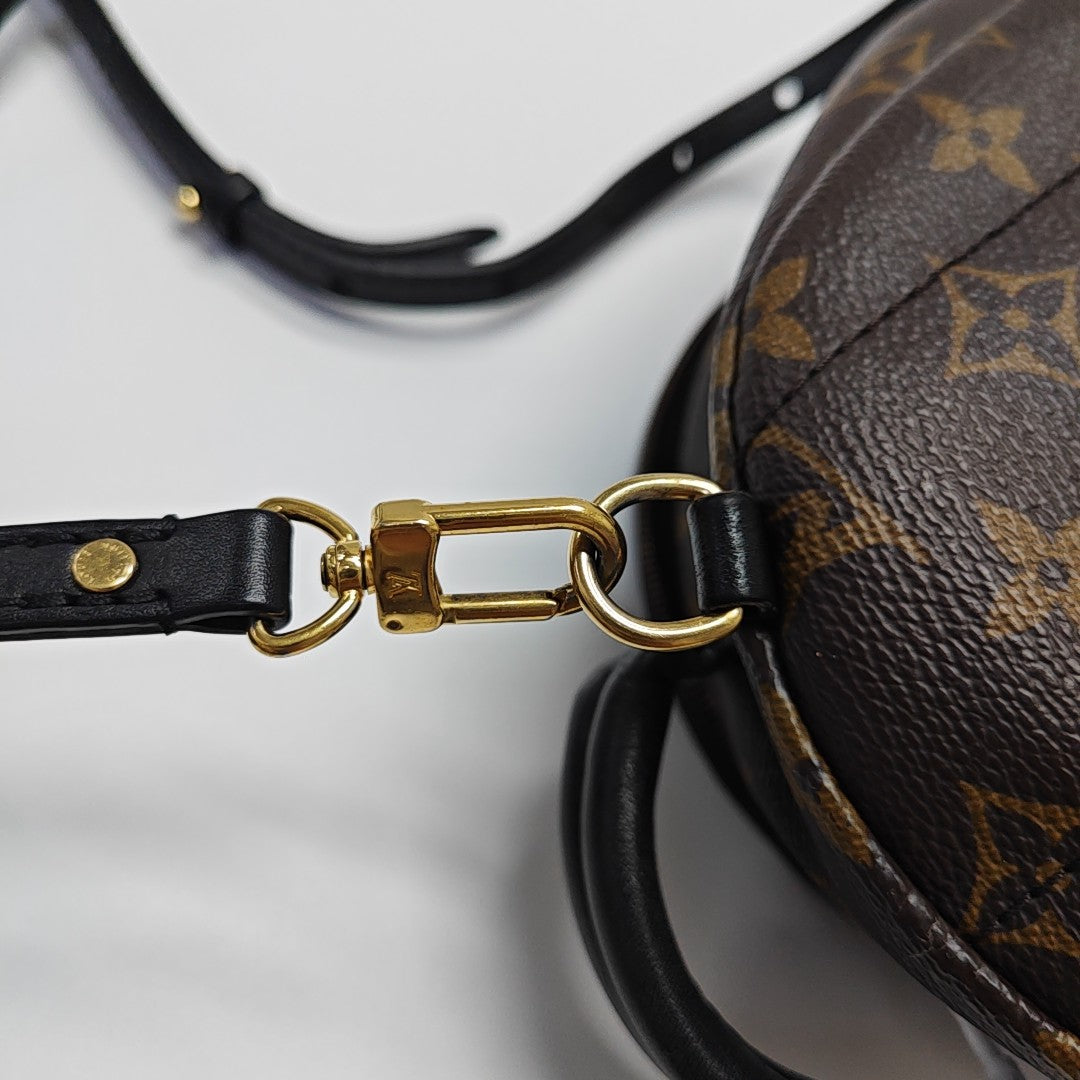 PALM SPRINGS Mini Monogram Coated Canvas Brown