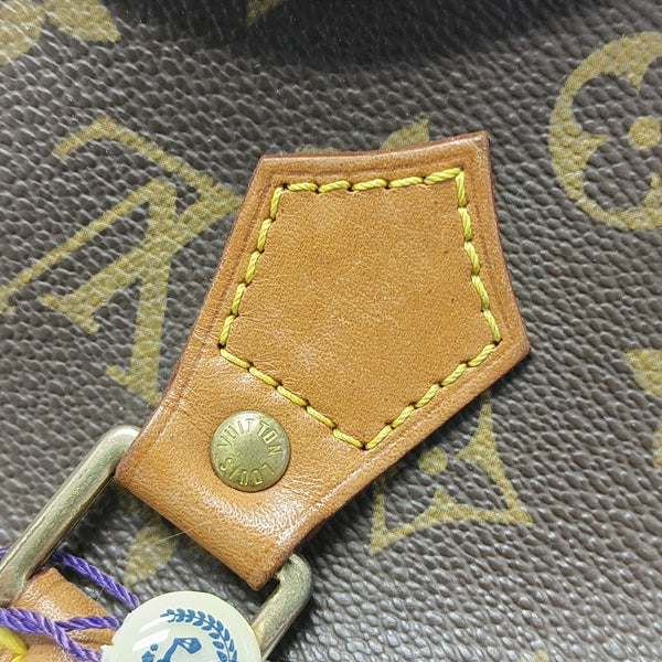ELLIPSE Monogram Coated Canvas Brown