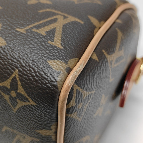 SPEEDY 20 Monogram Coated Canvas Brown