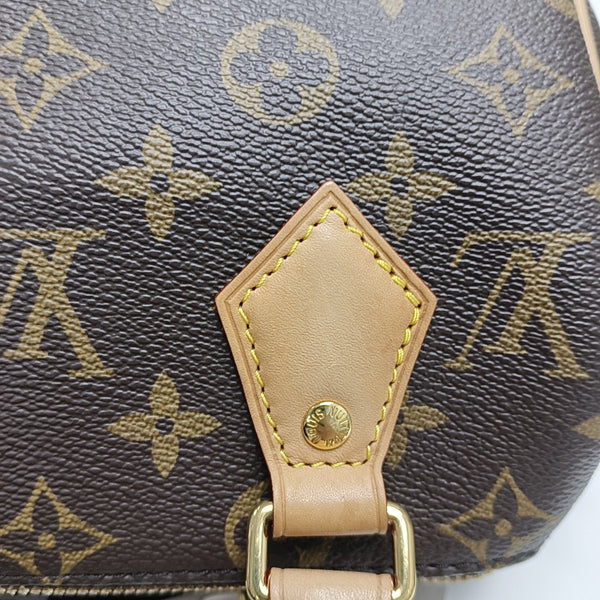 SPEEDY 20 Monogram Coated Canvas Brown