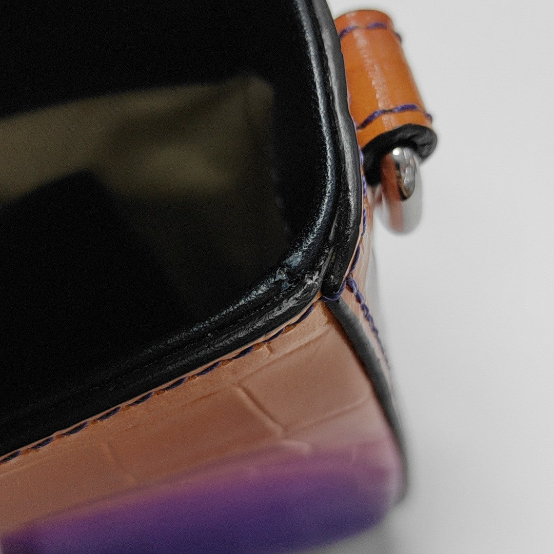 Chloé C Mini Calfskin Multicolor