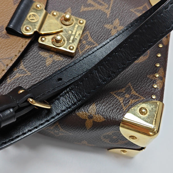 CAMERA BOX Monogram Coated Canvas Brown